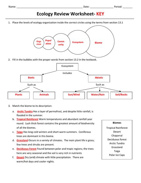 amoeba sisters ecological succession worksheet answer key